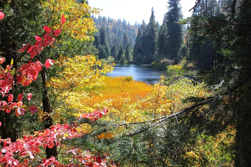 Sugar Pine Christian Camps