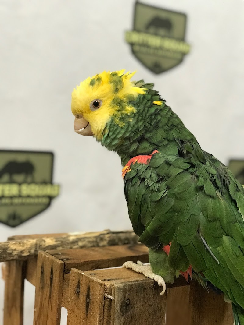 Critter Squad Wildlife Defenders. — Petting Zoos in Los Angeles