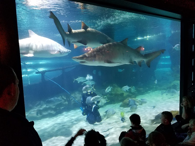 Greater Cleveland Aquarium
