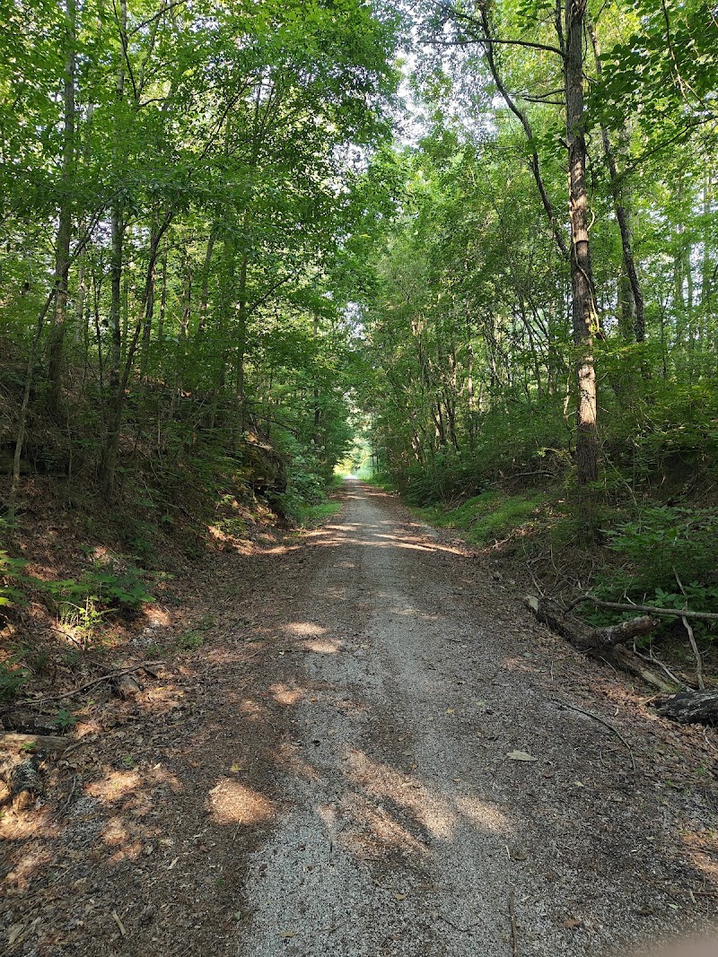 Cornerstone Ranch — Summer Camps in Birmingham