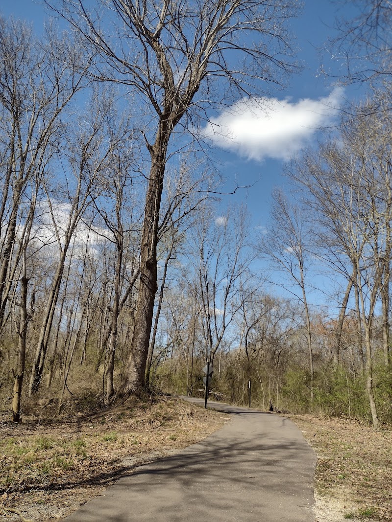 Wolf River Nature Area (East) — Hiking with Kids in Memphis