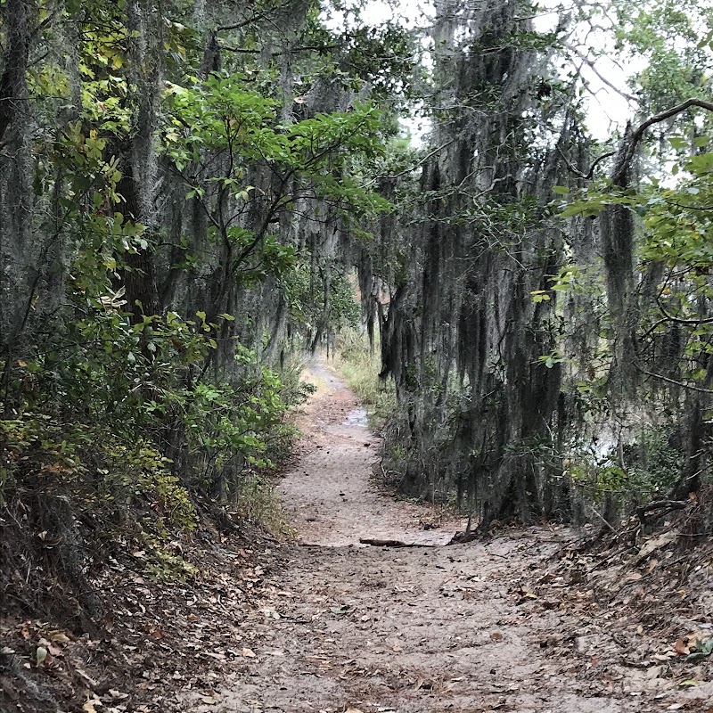 Long Creek Trail — Hiking with Kids in Virginia Beach