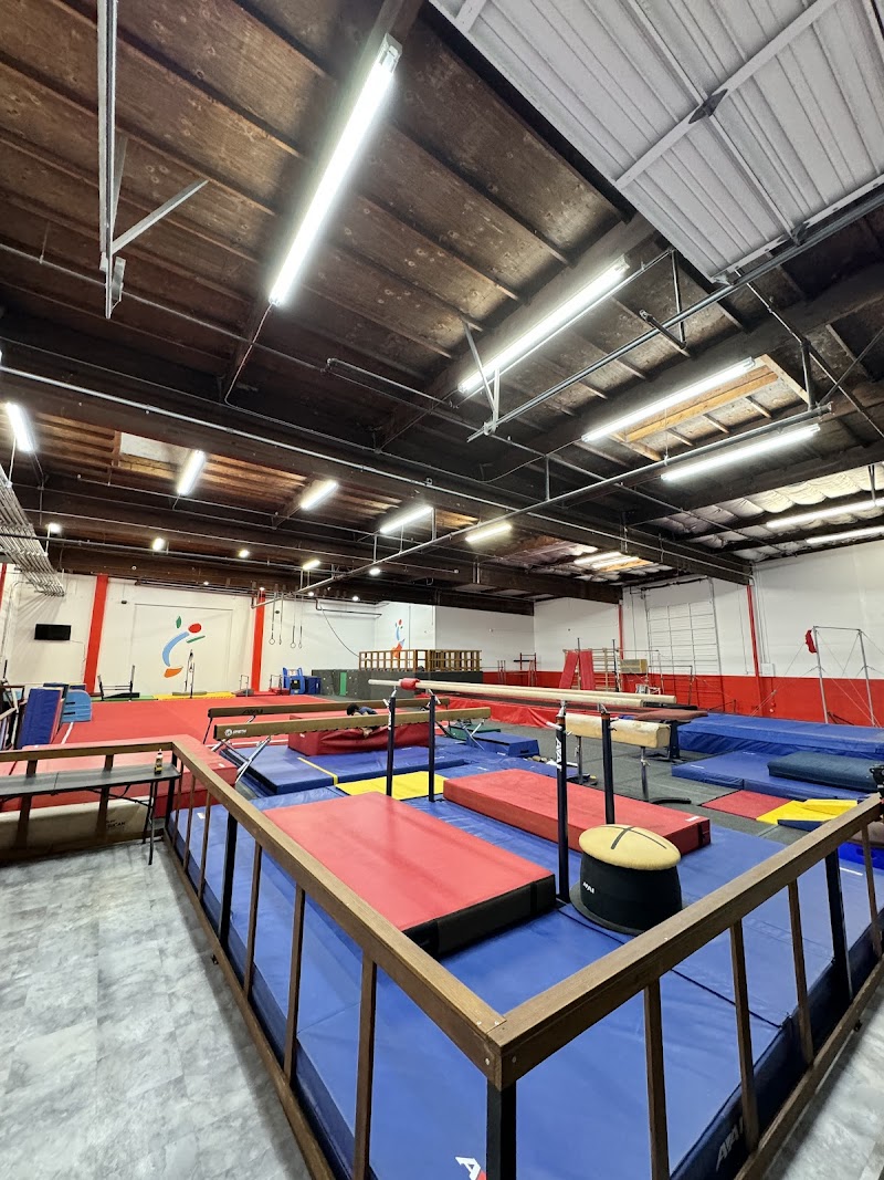 I Flip Gymnastics