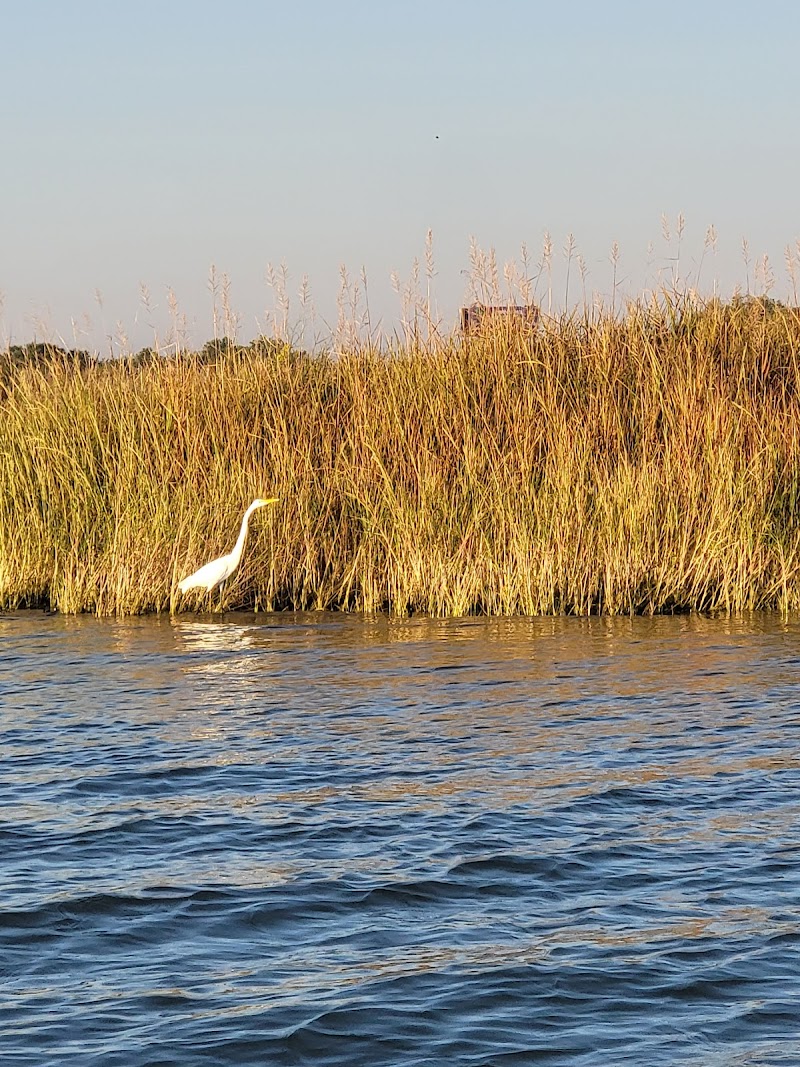 Bayou Sauvage Urban National Wildlife Refuge