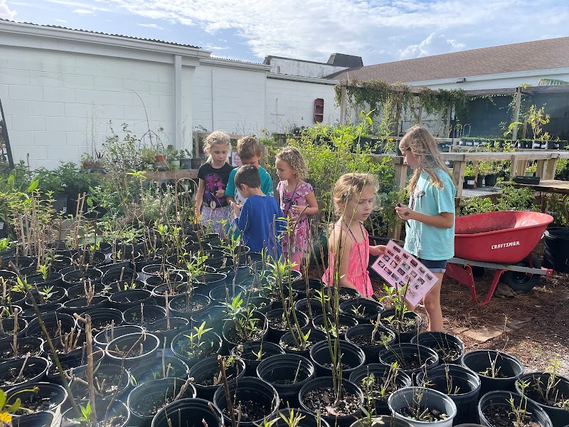 Kids' Nature Summer Camps at Little Red Wagon Native Nursery