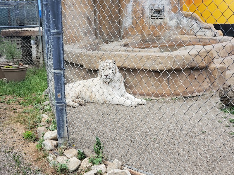 Cat Tales Wildlife Center