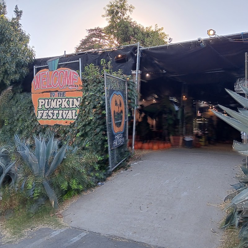 Toluca Lake Pumpkin Festival & Christmas Trees — Fall Festivals in Los Angeles