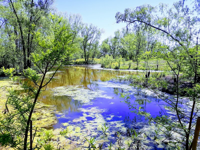 Sankofa Wetland Park & Nature Trail