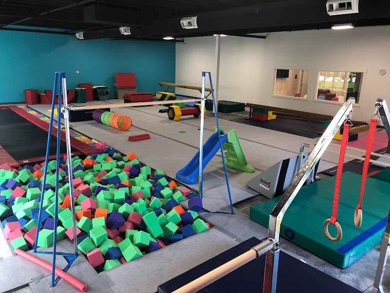 The Gym Nest Activity Center