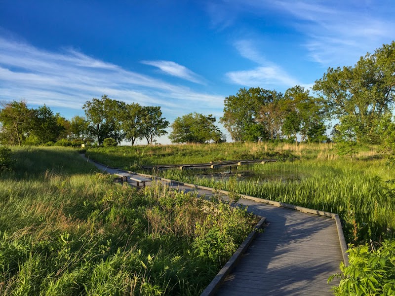 South Shore Nature Sanctuary — Hiking with Kids in Chicago