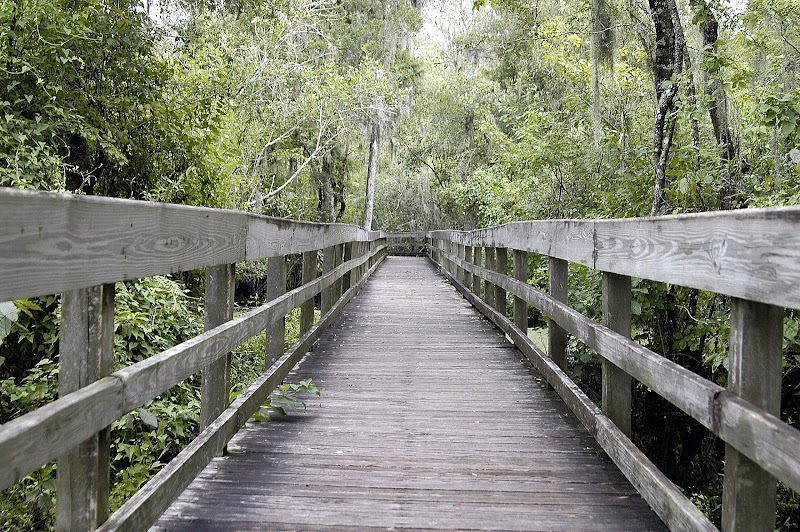Lettuce Lake Park Boardwalk and Nature Trail Observation Tower